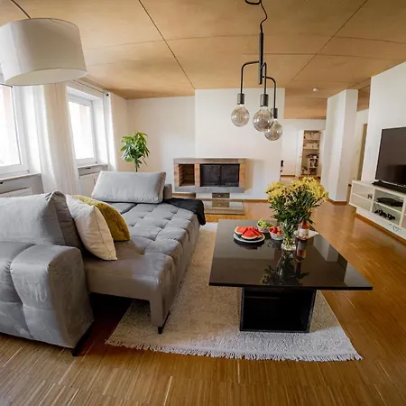 公寓 Bonnystay River Side 100 Qm Fuer 4 Personen 帕绍